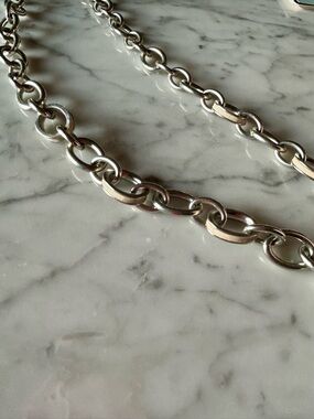 Banana Republic Silver Link Chain Necklace